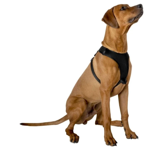 POSTROJ PRE PSY S REFLEXNOU PÁSKOU 41 - 67 CM VEĽKÝ