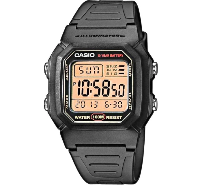 Pánské hodinky model 21804753 + BOX - CASIO Pánské hodinky model 21804753 + BOX - CASIO