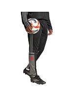 Kalhoty Squadra 25 Training M model 20877790 - ADIDAS Kalhoty Squadra 25 Training M model 20877790 - ADIDAS