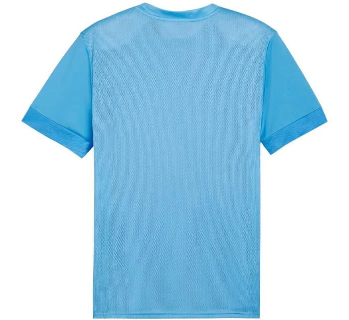 Puma teamGoal Matchday Jersey M 705747 18 muži