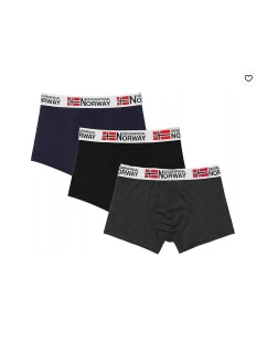 model 21427292 A'3 boxerky - Geographical Norway