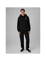 Bluza regular z kapturem męska |  pánské model 22551937 - 4F