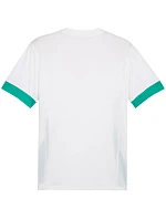 Pánský dres teamGoal Jersey white and green 15 pánské model 21392051 - Puma