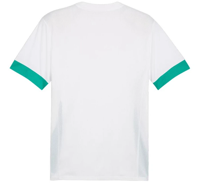 Pánský dres teamGoal Jersey white and green 15 pánské model 21392051 - Puma