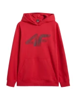 Mikina M pánské model 21399331 - 4F Mikina M pánské model 21399331 - 4F