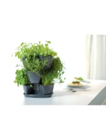 VERYKAL GARDEN CASCADE POND pre bylinky - GRAPHITE