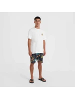 Plážové tričko s grafikou O'Neill M 92800613984