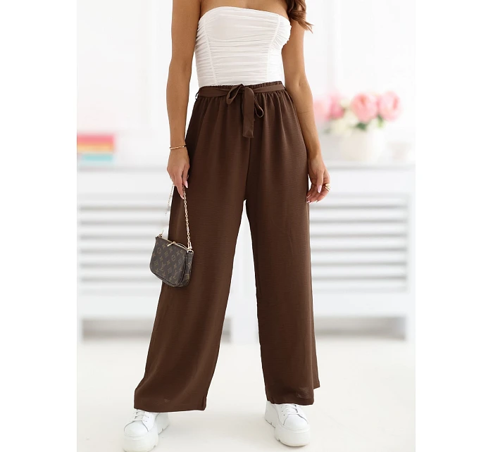 Spodnie CS SP model 22099837 ciemny brązowy - FPrice