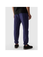 Pánské kalhoty model 21432253 - 4F Pánské kalhoty model 21432253 - 4F