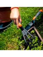 ZÁHRADNÉ KULTIVAČNÉ PAZÚRY ZÁHRADNÉ KULTIVAČNÉ PAZÚRY