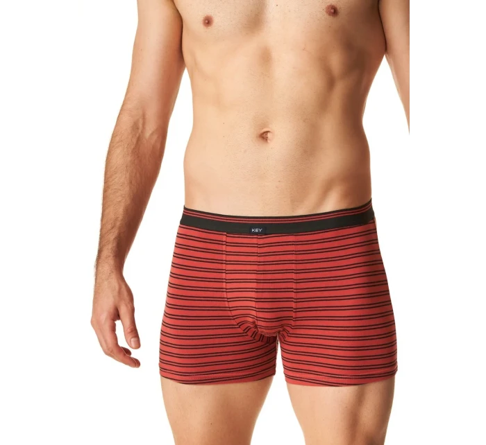 Pánské boxerky MXH model 20498243 B24 M2XL - Key