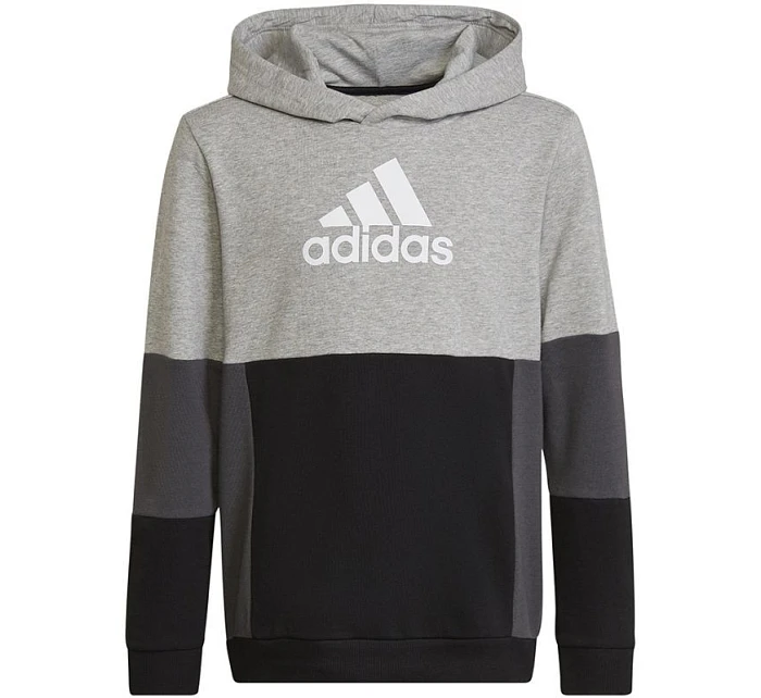 Adidas Colourblock Hoodie Jr HN8563