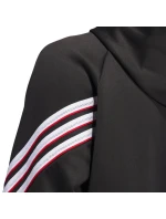 Mikina Basketball Crazy Warm Hoody M model 21211402 pánské - ADIDAS Mikina Basketball Crazy Warm Hoody M model 21211402 pánské - ADIDAS