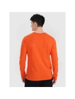 Pánské oversize hladké tričko s dlouhým rukávem model 21436426 pánské - 4F