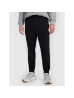 Pánske tepláky typu jogger 4F 4FRMM00TTROM1624-20S