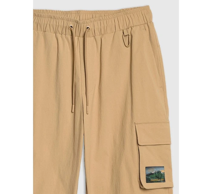 Pánske nohavice na voľný čas 4F 4FRAW25TTROM1690-83S