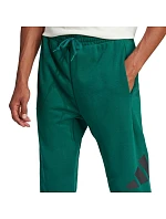 Nohavice adidas Essentials Big Logo French Terry M JE8971