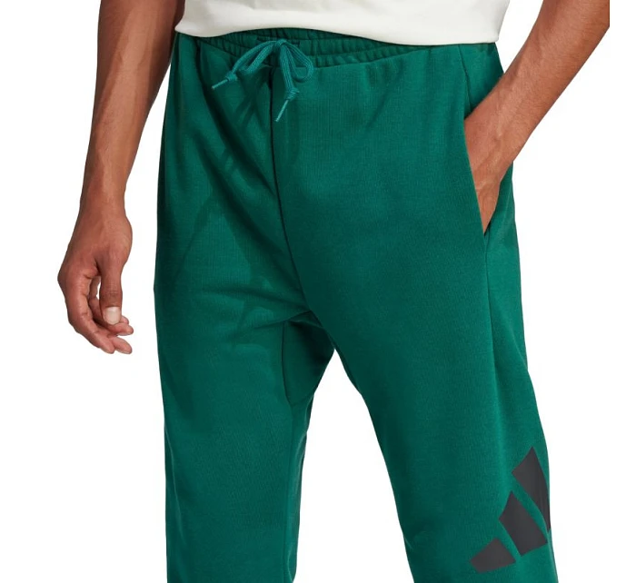 Nohavice adidas Essentials Big Logo French Terry M JE8971