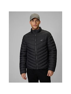 Kurtka z wypełnieniem męska  pánské model 22550160 - 4F
