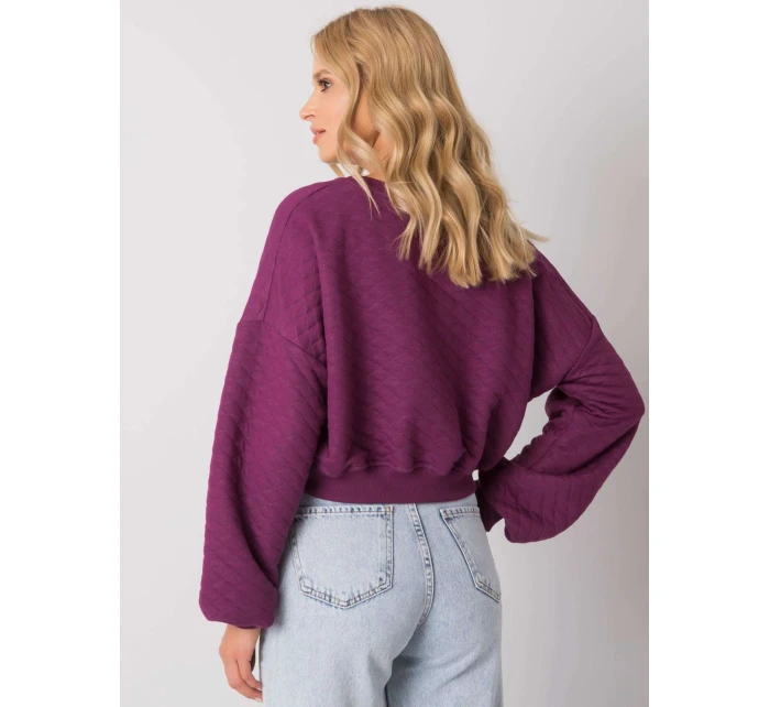 Mikina RV BL 7450.64 tmavo fialová Mikina RV BL 7450.64 tmavo fialová