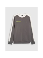 Pánská mikina s kapucí  bez model 21907252 - 4F