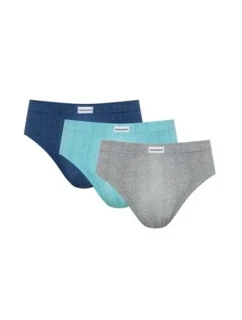 Pánské slipy 1446 model 18037714 Shimmer A'3 M2XL - Henderson