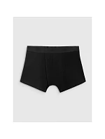 Pánske boxerky (3 balenia) 4F 4FRSS26UBXSM103-90S