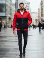Pánská zimní bunda s kapucí Dstreet model 21993653 - FashionStreet
