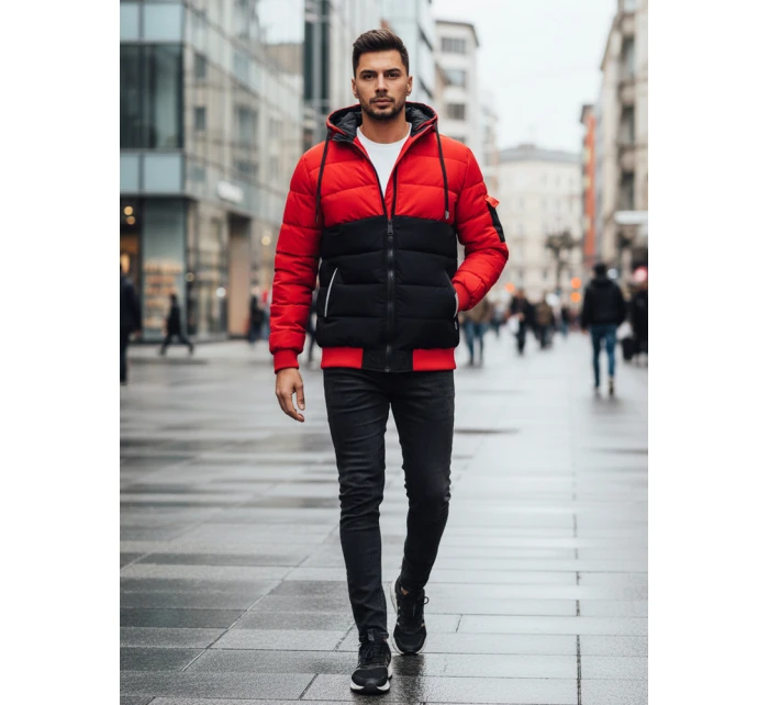 Pánská zimní bunda s kapucí Dstreet model 21993653 - FashionStreet