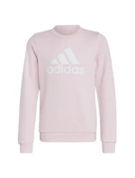 Dívčí mikina Big Logo Jr model 19559053 - ADIDAS Dívčí mikina Big Logo Jr model 19559053 - ADIDAS