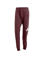 Kalhoty Essentials Big Logo French Terry M model 21080483 - ADIDAS