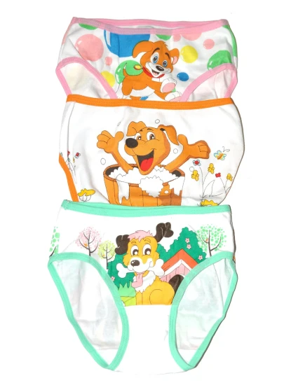 Dívčí kalhotky  A'3 let model 19755571 - DC Girl