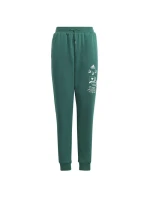 Adidas BLUV Q3 Pant Jr IA1553