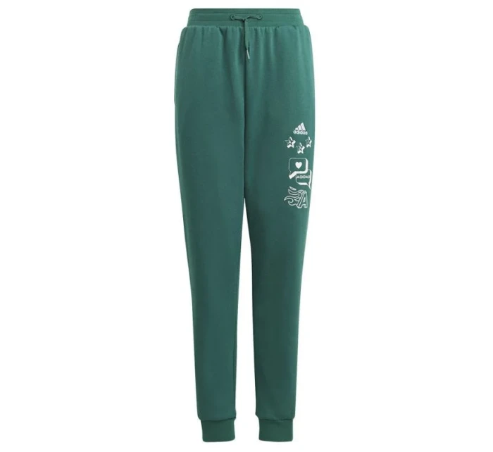 Adidas BLUV Q3 Pant Jr IA1553