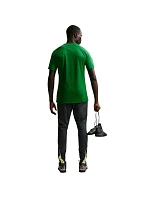 NIke Dri-Fit Park VIII pánske tričko zelené HV8173 302 pánske