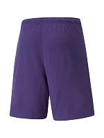Puma teamRise Short Prist M 704942 10