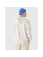 Pánská mikina s kapucí  s prvky model 21907383 - 4F