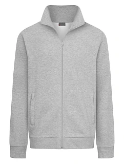 Pánská mikina 40. sports grey model 22516941 - Promodoro