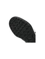 Puma King Pro 21 TT M 106552-01