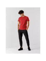 Pánské tričko M model 21424822 - 4F