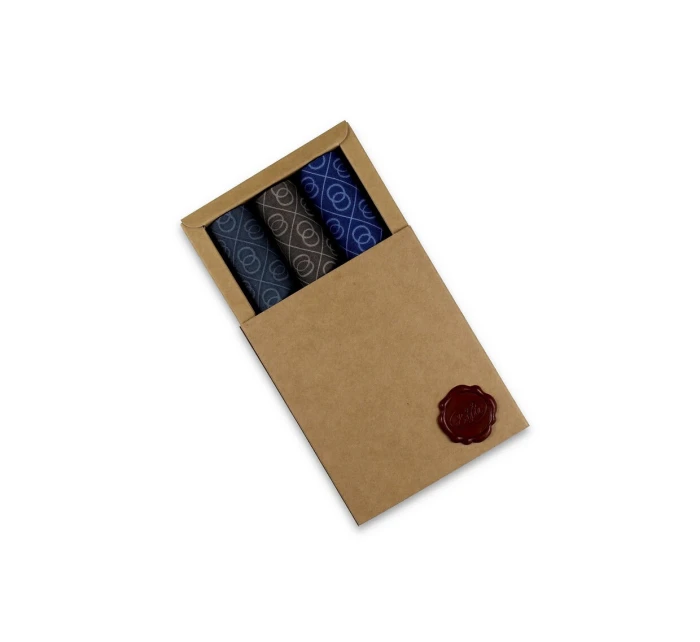 A'3 Pánské model 21768872 - EGA