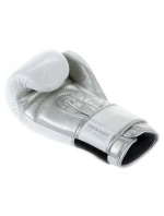 Boxerské rukavice z přírodní kůže s výplní  Legacy Series | DBX model 21754423 - DBX Bushido