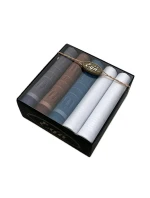 Pánské kapesníky model 20606609 A'5 - EGA