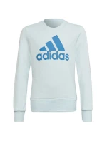Dětská mikina Big Logo Jr model 17732666 - ADIDAS Dětská mikina Big Logo Jr model 17732666 - ADIDAS