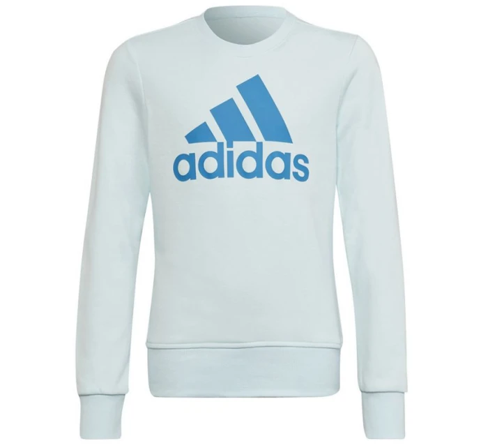 Dětská mikina Big Logo Jr model 17732666 - ADIDAS Dětská mikina Big Logo Jr model 17732666 - ADIDAS