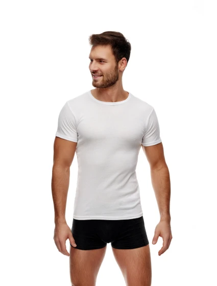 VESTA S model 21945972 - Noviti