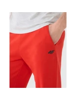 Spodnie dresowe męskie model 21460755 - 4F Spodnie dresowe męskie model 21460755 - 4F