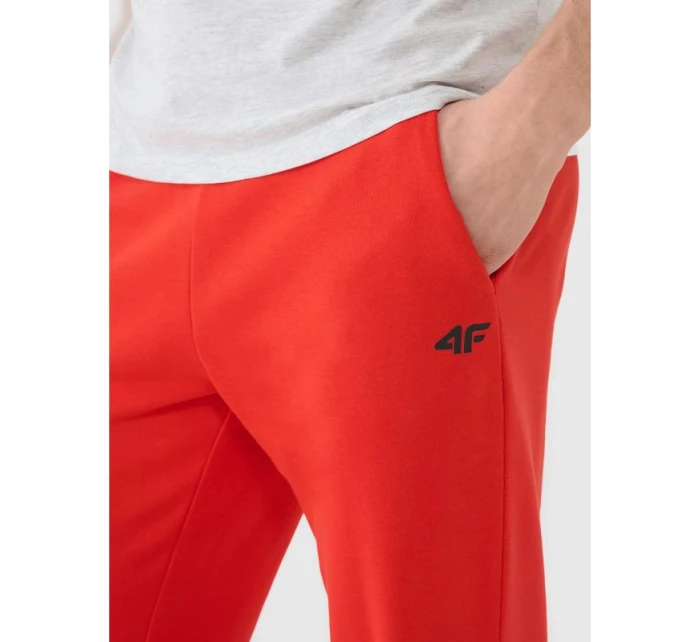 Spodnie dresowe męskie model 21460755 - 4F Spodnie dresowe męskie model 21460755 - 4F
