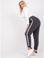 Tepláky RV DR 6643.95 grafit