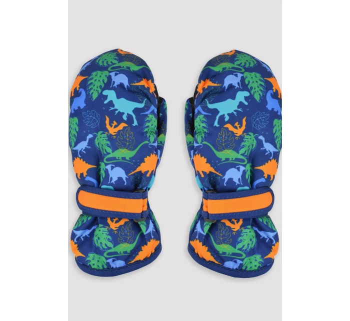 LYŽIARSKE RUKAVICE RN045